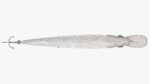 Minnow type fishing lure 02