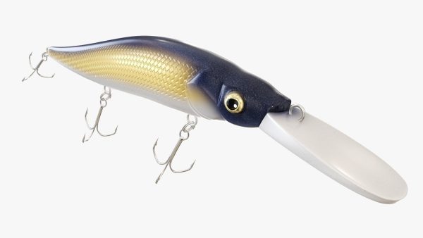 Minnow type fishing lure 02
