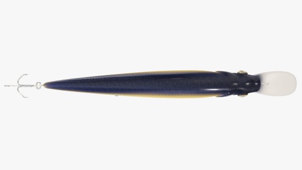 Minnow type fishing lure 02