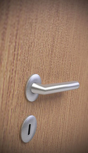 Modern Wooden Door