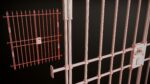 Modular Fences