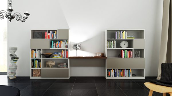 Molteni bookcase
