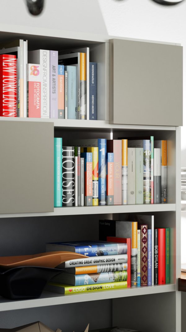 Molteni 505 5 with books