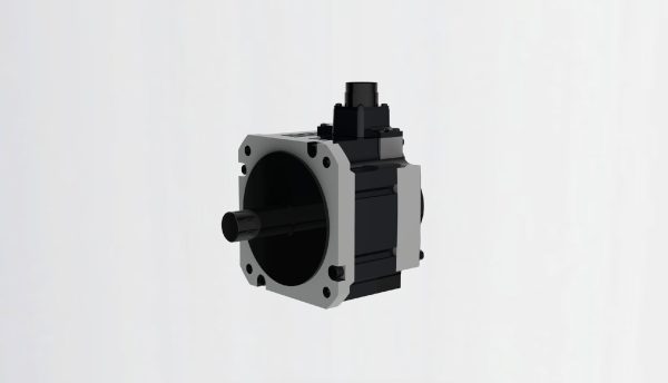motor model
