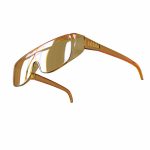 MULTIPURPOSE Safety Goggles