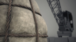 Net carry bag