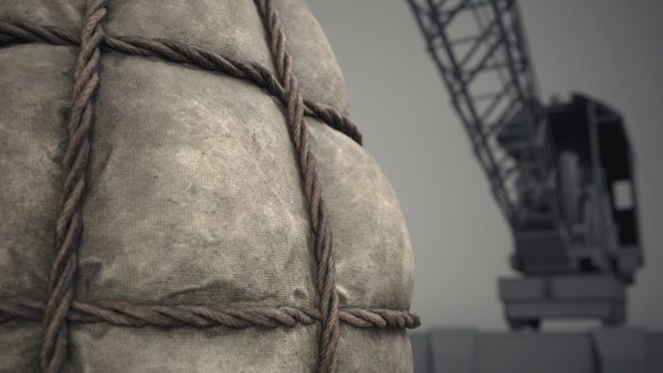 Net carry bag