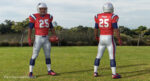 New England Patriots American Football Player Rigged
