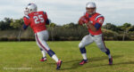 New England Patriots American Football Player Rigged