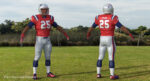 New England Patriots American Football Player Rigged