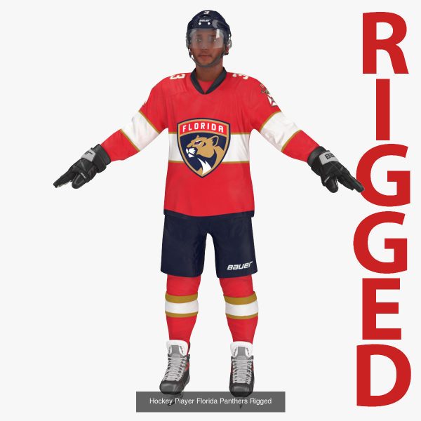 NHL Hockey Players Rigged Collection of 20 Teams