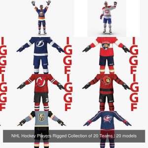 NHL Hockey Players Rigged Collection of 20 Teams