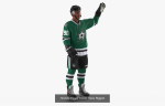 NHL Hockey Players Rigged Collection of 20 Teams