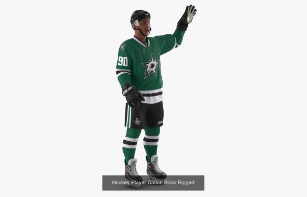 NHL Hockey Players Rigged Collection of 20 Teams