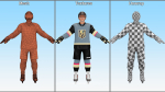 NHL Hockey Players Rigged Collection of 20 Teams