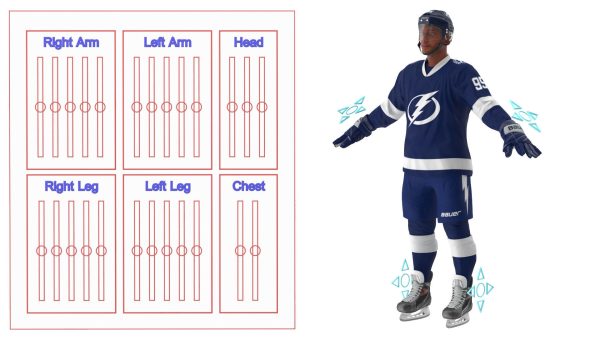 NHL Hockey Players Rigged Collection of 20 Teams