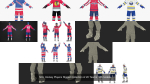 NHL Hockey Players Rigged Collection of 20 Teams