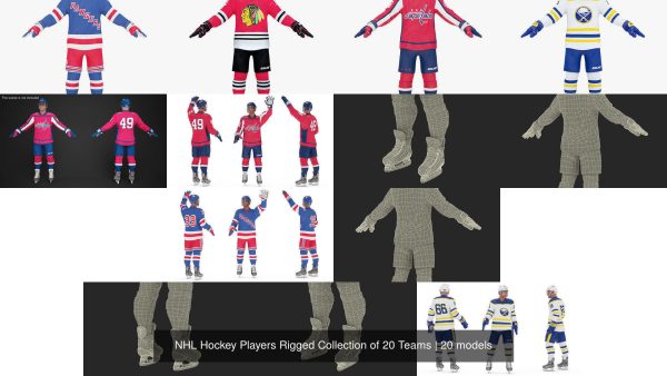 NHL Hockey Players Rigged Collection of 20 Teams