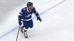 NHL Hockey Players Rigged Collection of 20 Teams