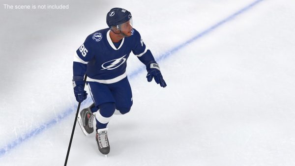 NHL Hockey Players Rigged Collection of 20 Teams