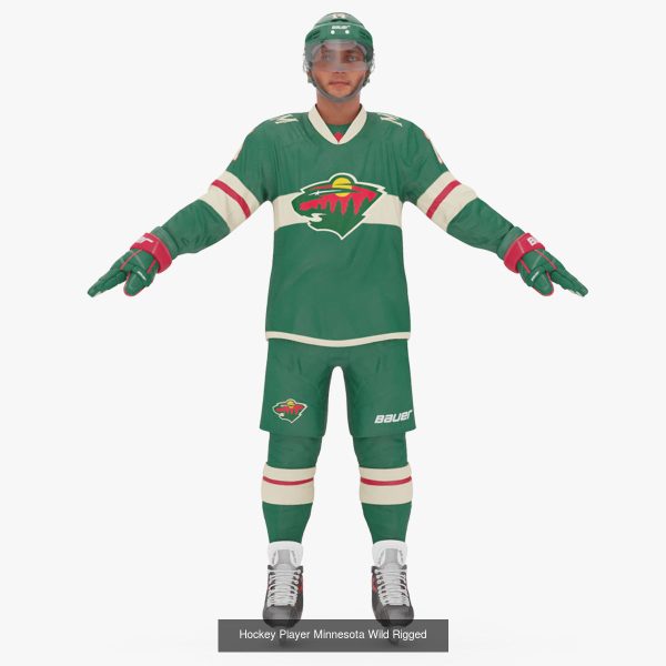 NHL Hockey Players Rigged Collection of 20 Teams