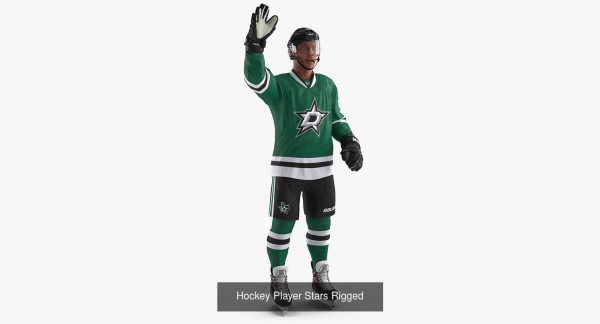 NHL Hockey Players Rigged Collection of 20 Teams