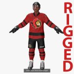 NHL Hockey Players Rigged Collection of 20 Teams