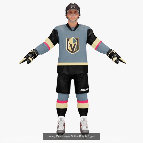 NHL Hockey Players Rigged Collection of 20 Teams