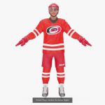 NHL Hockey Players Rigged Collection of 20 Teams