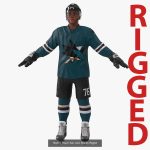 NHL Hockey Players Rigged Collection of 20 Teams