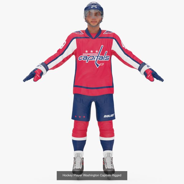 NHL Hockey Players Rigged Collection of 20 Teams