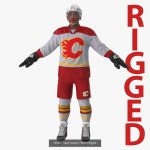 NHL Hockey Players Rigged Collection of 20 Teams