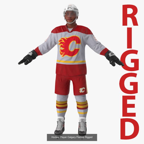 NHL Hockey Players Rigged Collection of 20 Teams