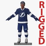 NHL Hockey Players Rigged Collection of 20 Teams