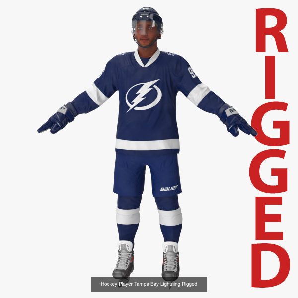 NHL Hockey Players Rigged Collection of 20 Teams