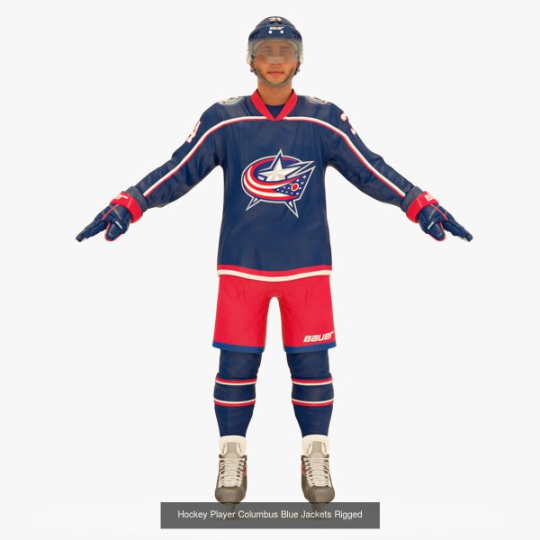 NHL Hockey Players Rigged Collection of 20 Teams