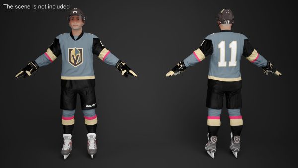 NHL Hockey Players Rigged Collection of 20 Teams