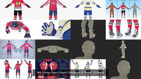 NHL Hockey Players Rigged Collection of 20 Teams