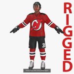 NHL Hockey Players Rigged Collection of 20 Teams