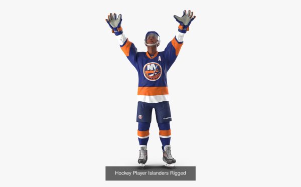NHL Hockey Players Rigged Collection of 20 Teams