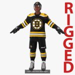 NHL Hockey Players Rigged Collection of 20 Teams