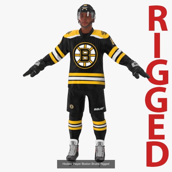 NHL Hockey Players Rigged Collection of 20 Teams