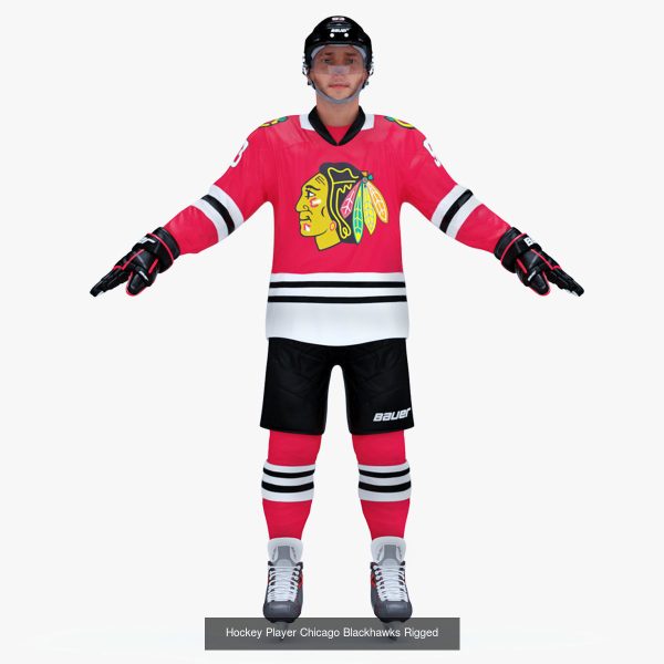 NHL Hockey Players Rigged Collection of 20 Teams