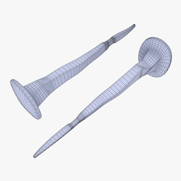Old Nail
