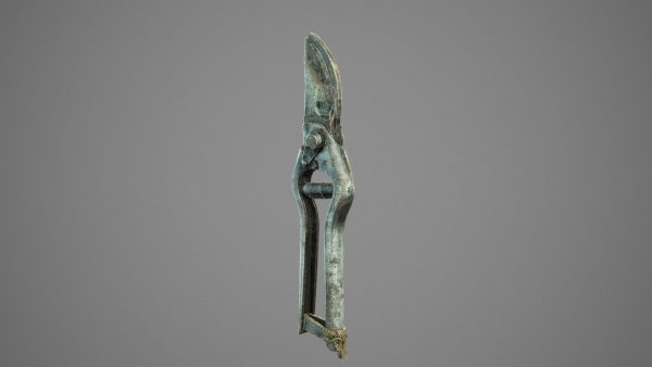 Old Pruner