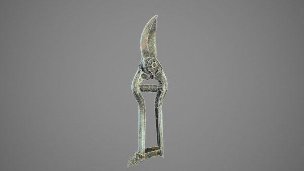 Old Pruner