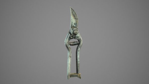 Old Pruner