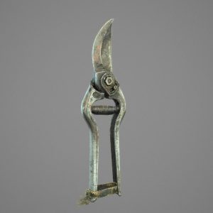 Old Pruner