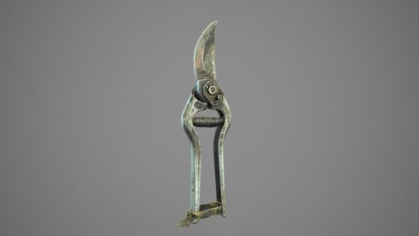 Old Pruner
