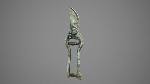 Old Pruner